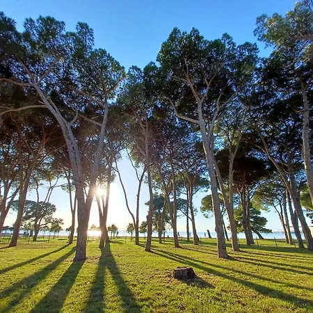 Ryanair's 2026 Family Choice Ζαντάρ