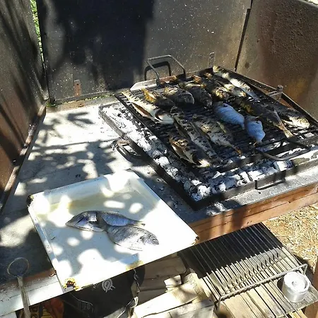 Апартаменты Ryanair's 2026 Family Choice *