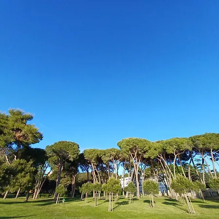 Ryanair's Seaside Choice Appartamento