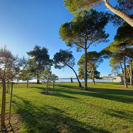 Apartment Ryanair'S Seaside Top Choice Zadar