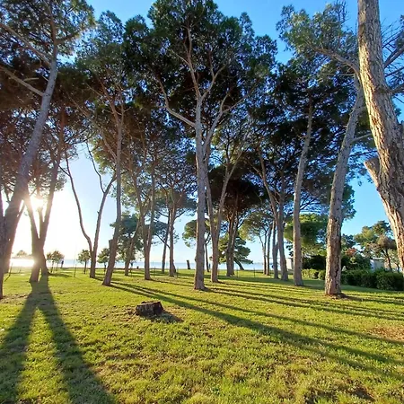 Ryanair'S 2026 Family Choice Zadar Apartment *