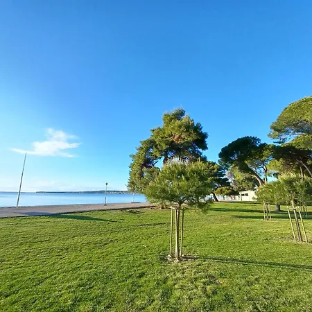 Apartment Ryanair'S Seaside Top Choice Zadar *