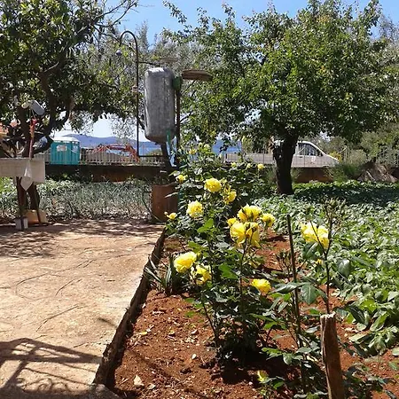 Apartment Ryanair'S 2026 Family Choice Zadar