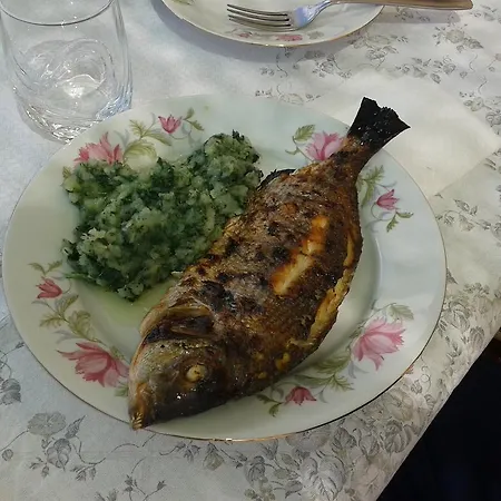 Ryanair'S 2026 Family Choice Zadar Apartment *