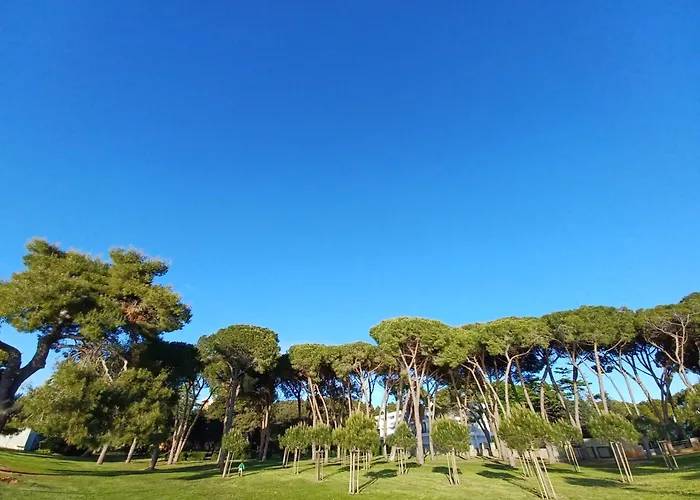 Ryanair's 2026 Family Choice Apartamento