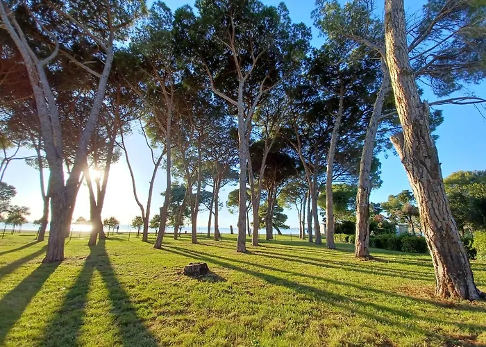 Ryanair's 2026 Family Choice 아파트 *